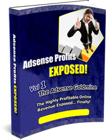 Adsense Profits Exposed!